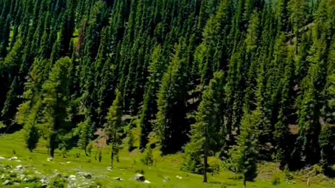 Nature Beauty | Mahodand Lake | beauty of Pakistan