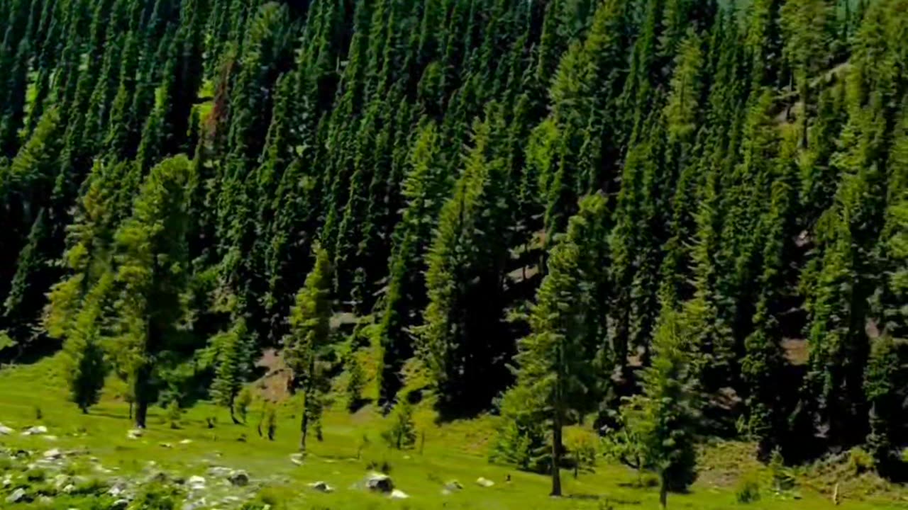 Nature Beauty | Mahodand Lake | beauty of Pakistan