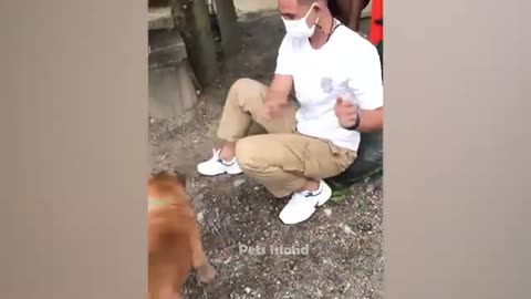 Most trending animal videos -funniest cat's and dogs 2023