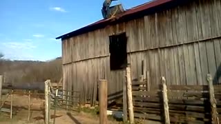 Barn Repair