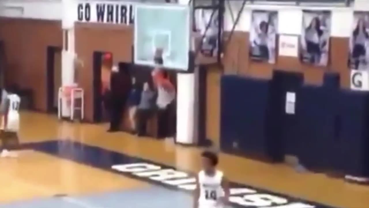 Crazy and Funny Videos!