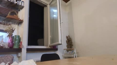 2022-12-01 (10) - petit - Twitch Triskelina