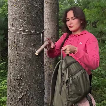 It's just GENIUS 🤯#camping #survival #bushcraft #outdoors