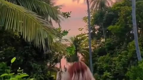 Cheap travel and places to visit in Thailand