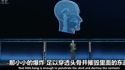 人工智能狙殺機 (若配合打進毒苗的人體內的藍芽，會更精準)