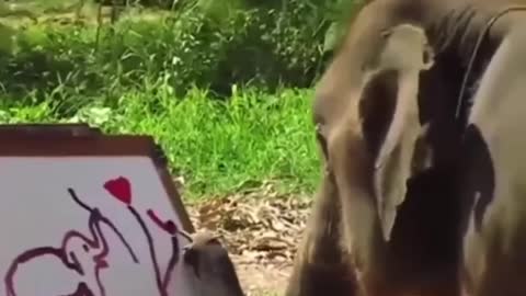 The elephant draws with his trunk