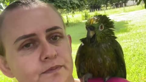 Parrot and the lady conversation