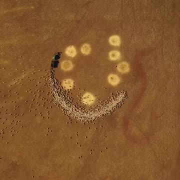 Satisfying videos from internet (1)