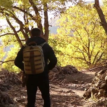 WARNING You'll Regret Not Visiting Montana!