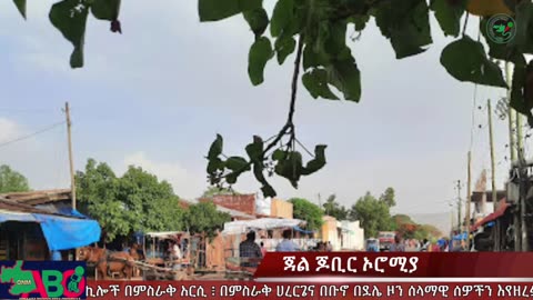 ህዳር 20-2024 ONM-ABO እለታዊ የኦሮሞ ነፃነት ሰራዊትና የኦሮሚያ ውሎ!