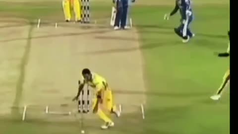 Funny Cricket