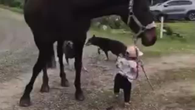 size is not matter for any work in life..