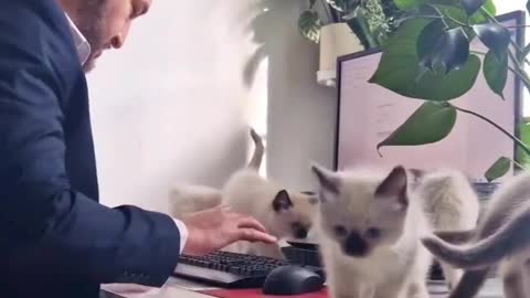“Best very productive colleagues ever! 😂😂😍