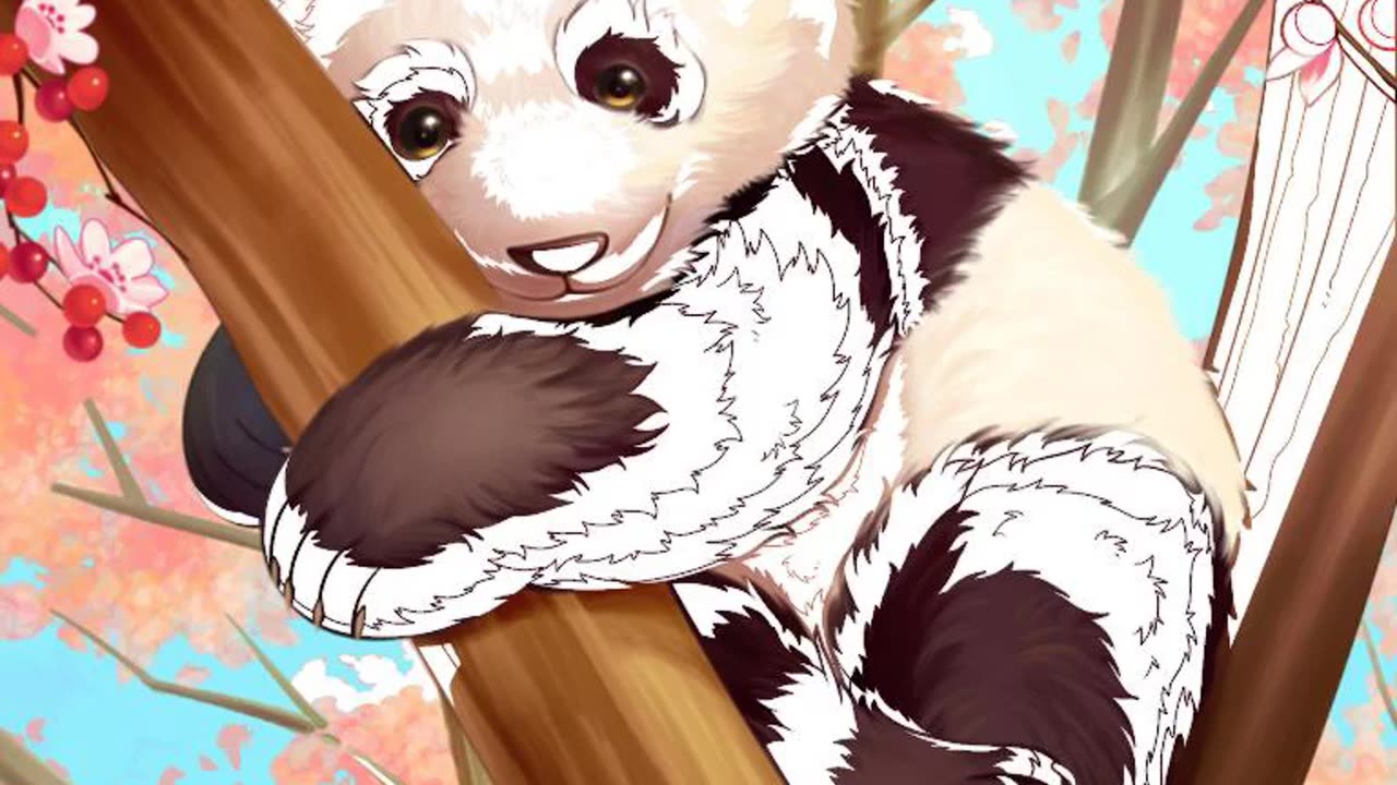 Cute and beautiful panda