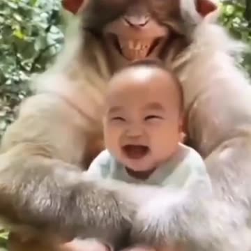 Funniest Monkey - cute and funny monkey videos 2024 Full HD