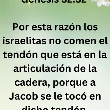 "El Significado del Muslo Desencajado: Un Nuevo Nombre para Jacob" Génesis 32:32.