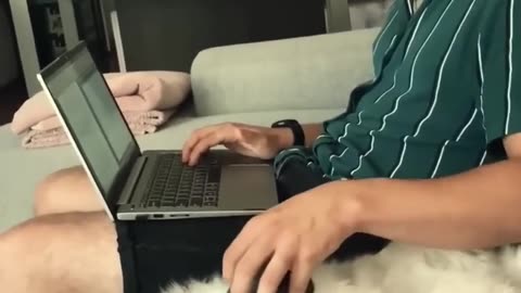 Funniest cats🐱In The World😂 Funny and Fails Pets Video