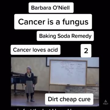 Cancer is a fungus