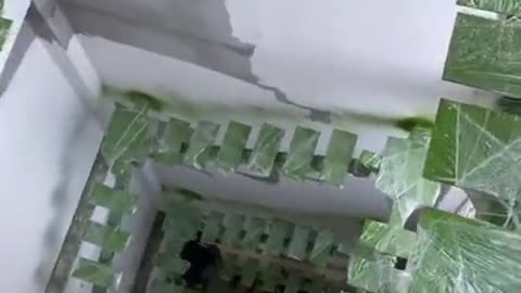 Looks safe