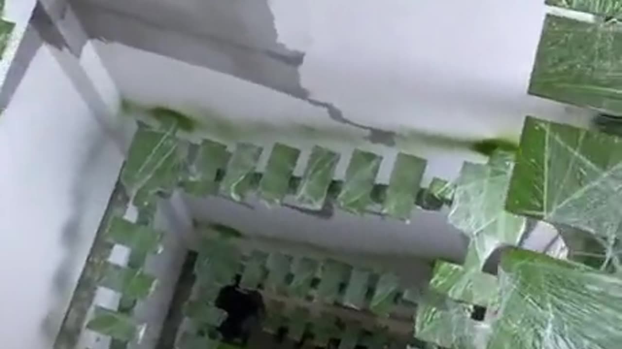 Looks safe