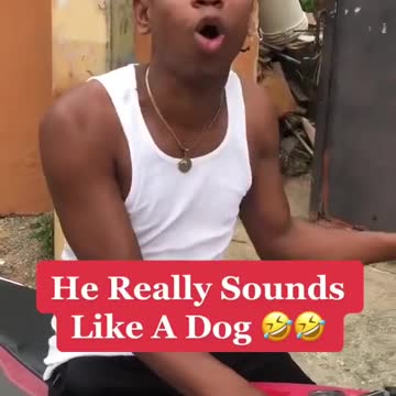 Best Dog Barking Man