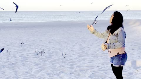 Feeding Florida birds in Manatee Beach early morning