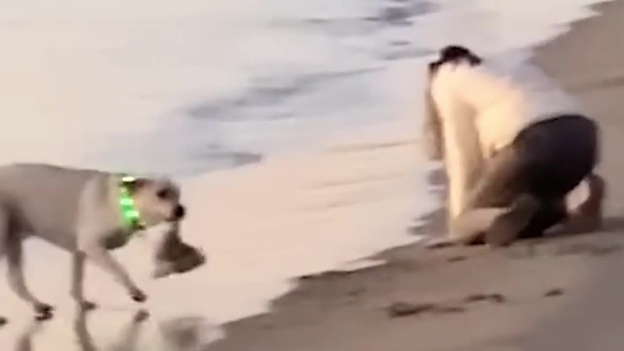 funny cute