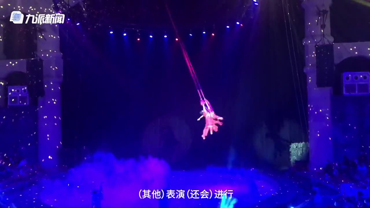 Acrobat falls during circus performance