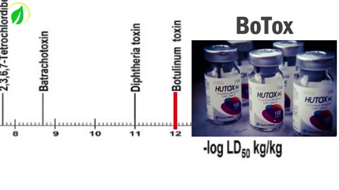 Qué es el Borax! ¿Es tóxico?