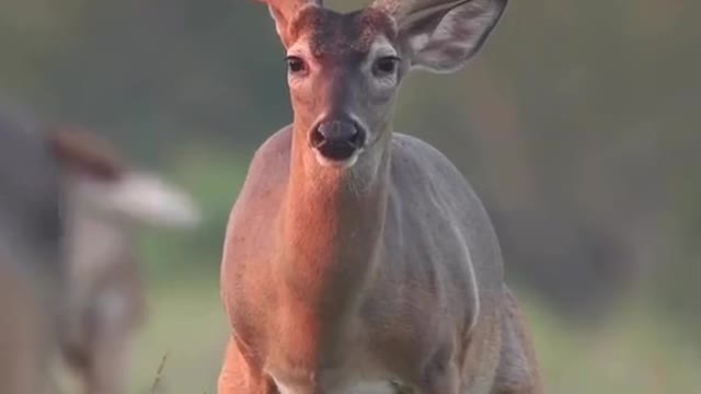 Hunter Aron When nature calls unter #fyp
