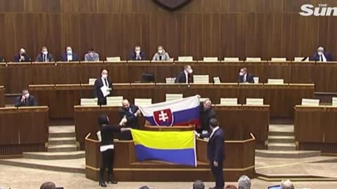 Based Slovakian politician expresses his views on Ukraine