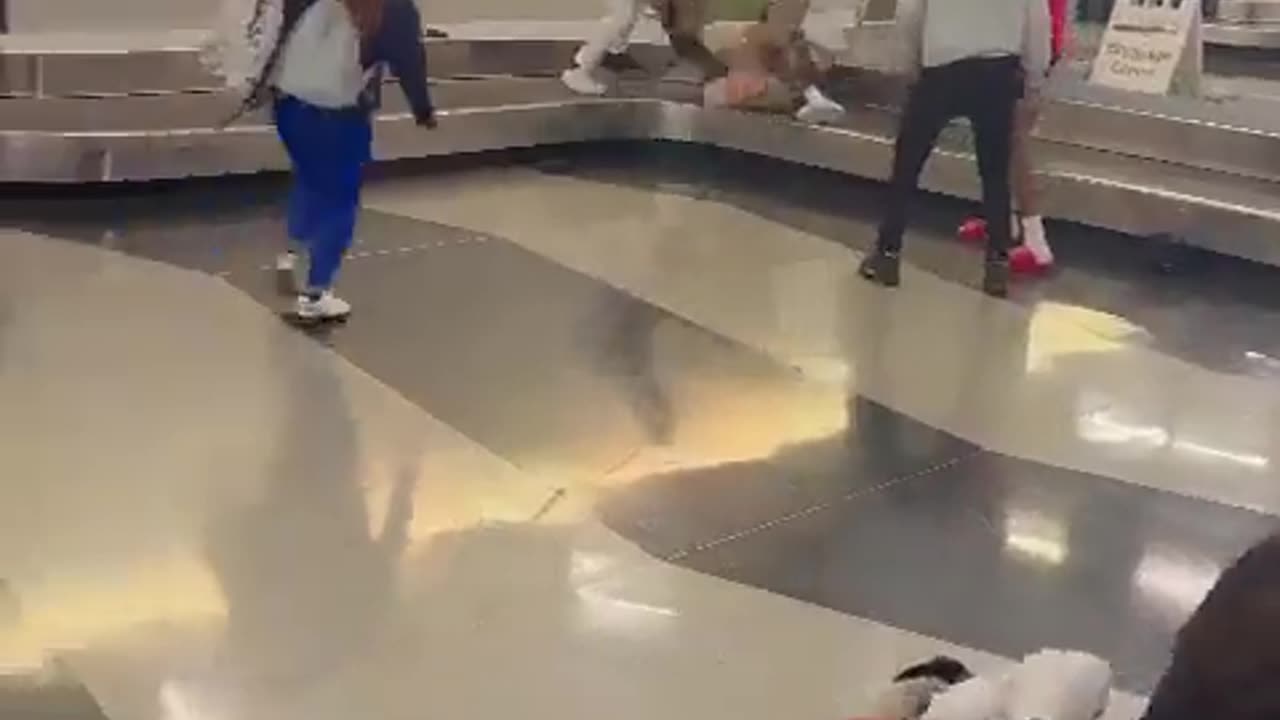 CHICAGO OHARE PASSENGER FIGHT