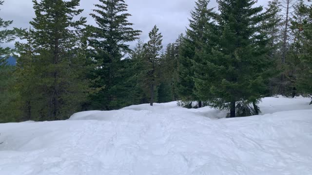 Hiking Over Thick Fluffy Snow – Potato Hill Sno-Park – Central Oregon – 4K