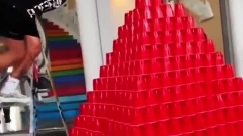 Funny videos