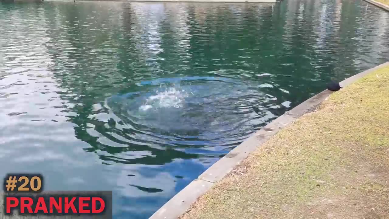 The most insane prank you will ever see.