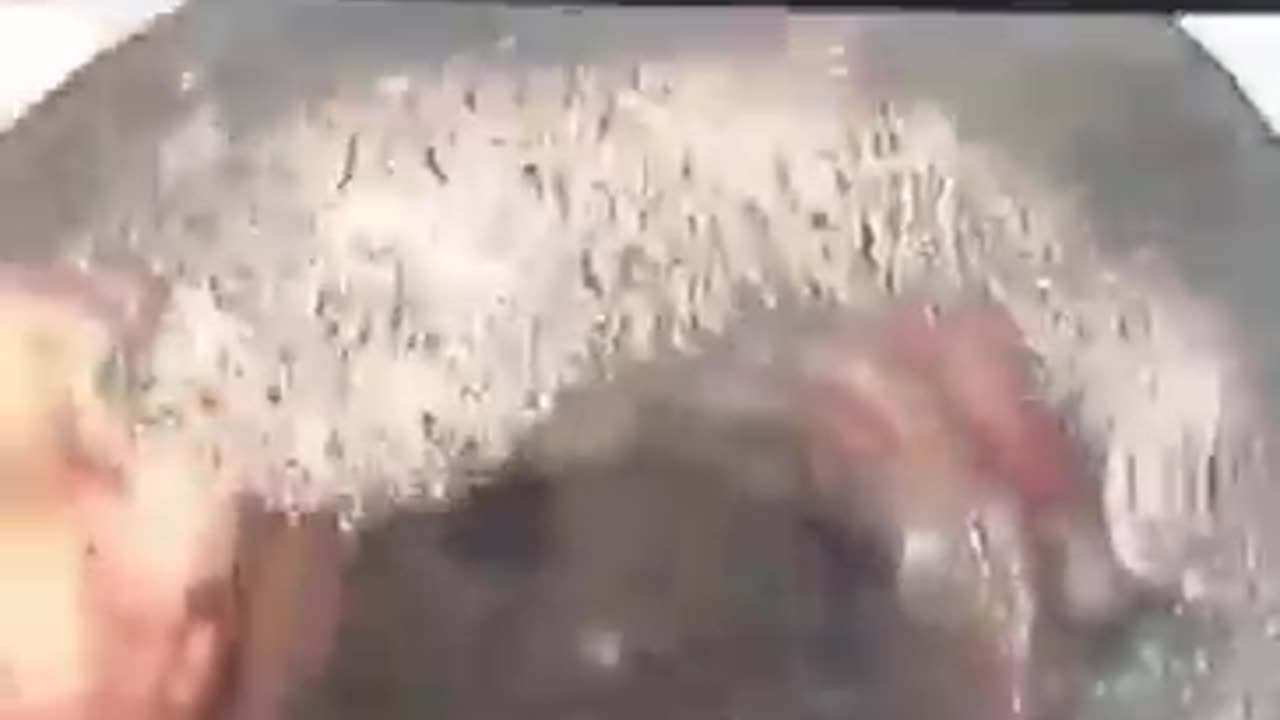 ワクした後の内臓