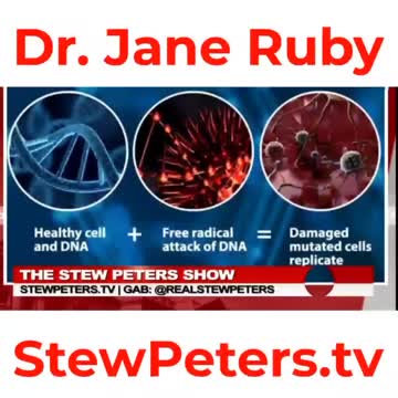 Peter Stew 節目訪談，“Fake Ivermectin from Big Pharma”