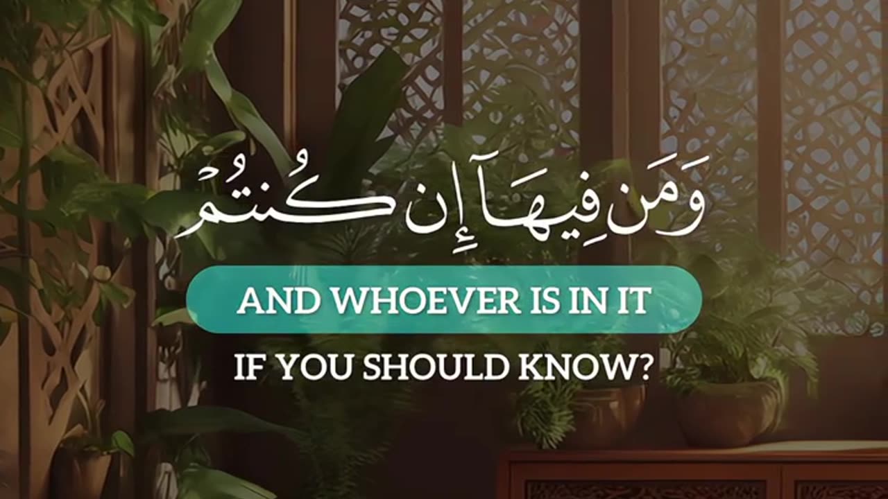 سورة المؤمنون
