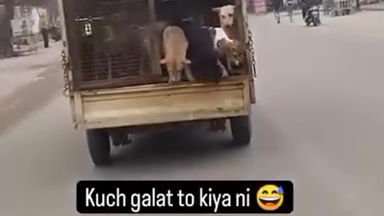 This guy is such a 😂😂😂