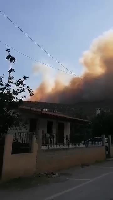 Πρόδρομος φωτιά