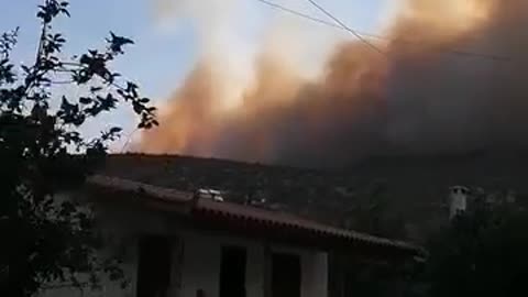 Πρόδρομος φωτιά