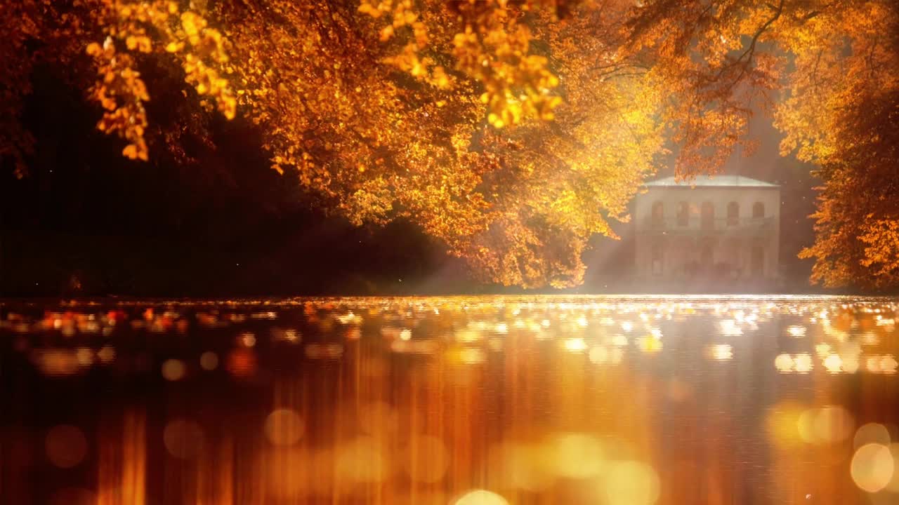 River Leaves Sunrays In Forest