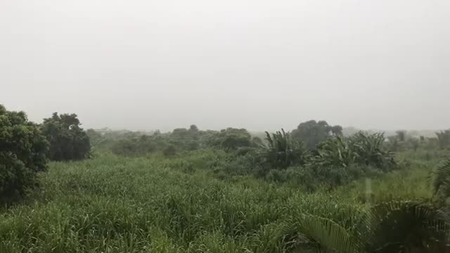 HURRICANE WIND SOUNDS WITH LIGHT RAIN FOR SLEEPING