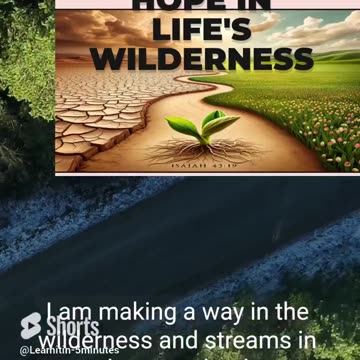 🌟Finding Hope in Life's Wilderness - Isaiah 43:19 Inspired Transformation!🌱
