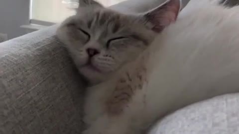 Fell asleep in a strange position