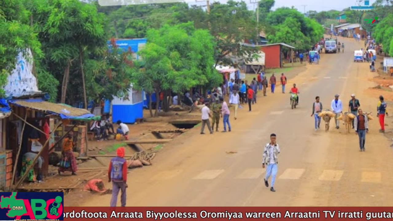 Oduu waaree ONM-ABO Sadaasa 10-2024 itti dhiyaadhaa!