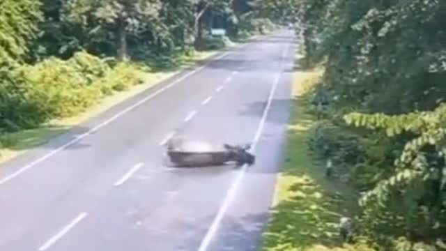 Rhino Get hit