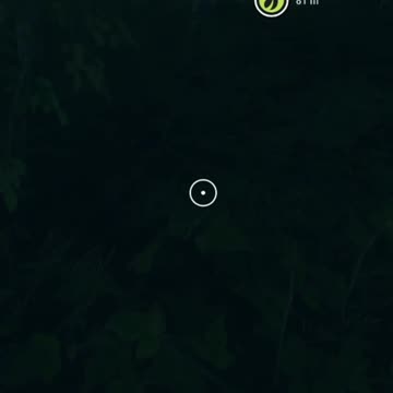 No Walking in Hunter Call of the Wild