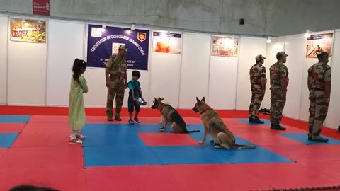 Cisf Indian soldiers teach dog