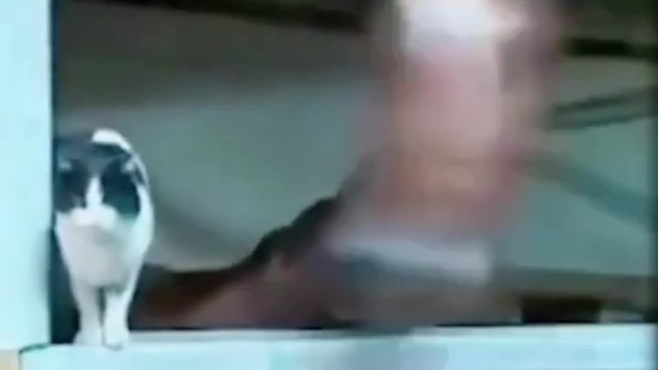Pedro Pedro meme _ Red Boi _memes _redboi(720P_HD)